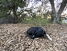 photo thumbnail #7
