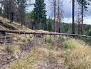 photo thumbnail #5