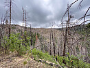 photo thumbnail #14