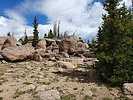 photo thumbnail #7