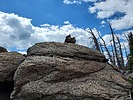 photo thumbnail #12