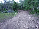 photo thumbnail #2