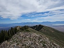 photo thumbnail #13
