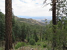 photo thumbnail #6