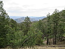 photo thumbnail #8