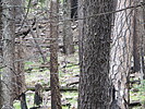 photo thumbnail #11