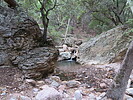 photo thumbnail #5