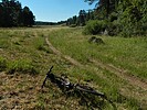 photo thumbnail #3