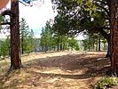 photo thumbnail #9