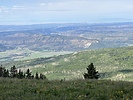 photo thumbnail #5