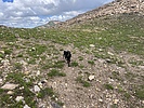 photo thumbnail #6