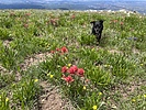 photo thumbnail #13