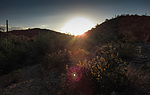 photo thumbnail #2