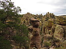 photo thumbnail #11