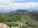 photo thumbnail #3