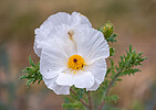 photo thumbnail #12