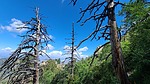 photo thumbnail #5