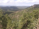 photo thumbnail #8