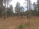 photo thumbnail #7