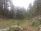 photo thumbnail #4