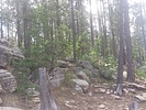 photo thumbnail #1