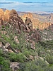 photo thumbnail #8