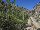photo thumbnail #7