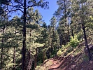 photo thumbnail #2