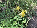 photo thumbnail #5