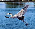 photo thumbnail #15