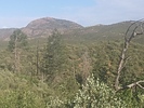 photo thumbnail #4