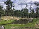 photo thumbnail #5
