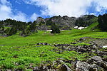 photo thumbnail #1
