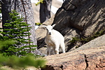 photo thumbnail #11