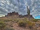 photo thumbnail #12