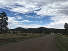 photo thumbnail #12