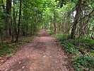 photo thumbnail #14