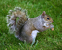 photo thumbnail #13