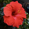 photo thumbnail #14