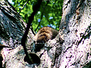 2022-07-09 :2: Central Park :: gummo