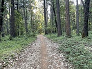 photo thumbnail #3