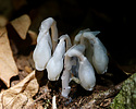 photo thumbnail #15