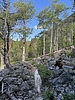 photo thumbnail #6