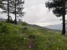 photo thumbnail #2