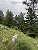 photo thumbnail #14