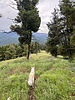 photo thumbnail #15