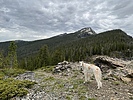 photo thumbnail #12