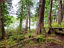 photo thumbnail #6