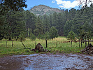 2022-07-10 :1: Barfoot Park-Chiricahua :: rwstorm
