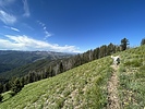 photo thumbnail #6